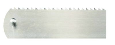Lame de scie 20 Fischer 2.jpg