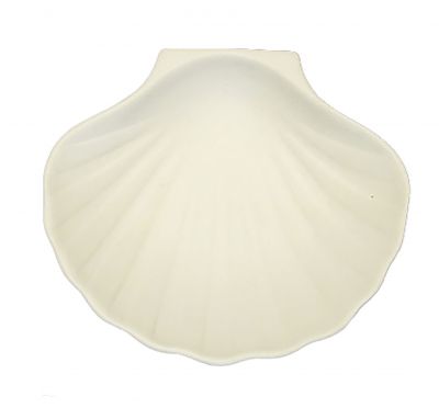 Coquille min�rale.jpg
