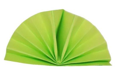 Serviette papier c�li-ouate vert pistache.jpg
