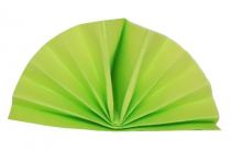 Serviette papier céli-ouate vert pistache.jpg