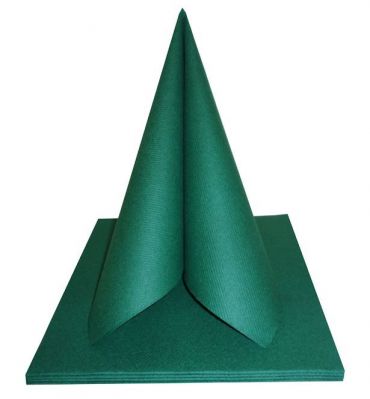 Serviette intiss� vert fonc�.jpg