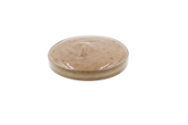 Marinade crème Morilles 2.png