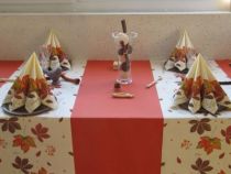 Nappe non tissée Célisoft terracotta 10m, 25m et 50m 