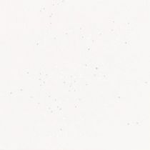 Serviette Dunilin Brillance blanche 40 x 40 cm Pqt 50