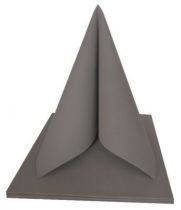 Serviette non tisse Dunilin gris granite 40 x 40 cm Pqt 50